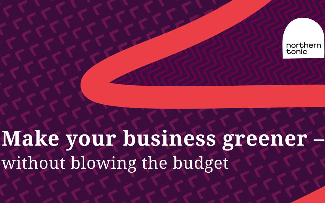 Make your business greener – without blowing the budget